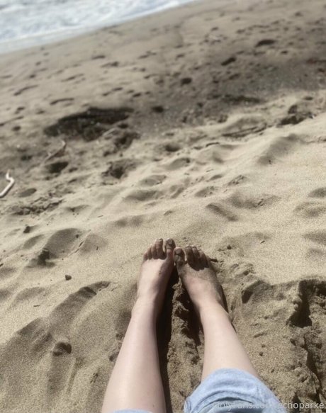 echoparke star top photo