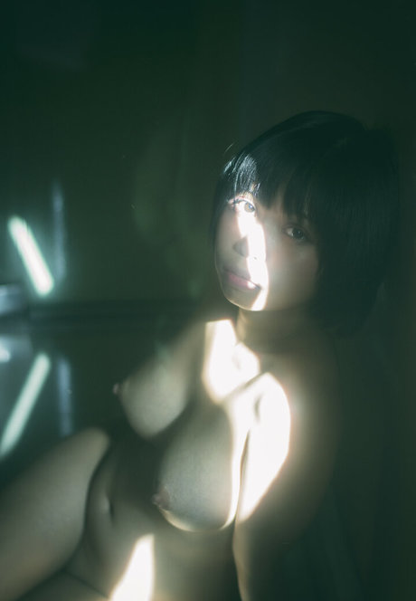 Nanaxir model top img