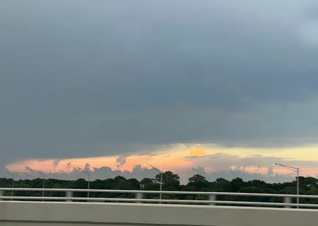 vanessaselene naked actress archive