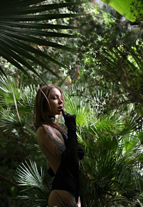 maleficentaa high quality pornstar pictures