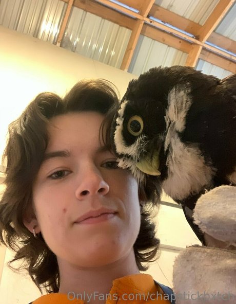 chapstickbxtch pornstar beautiful galleries