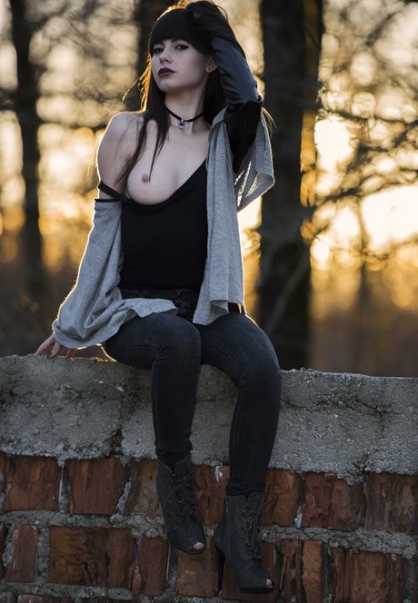 Lauren Brite star art images