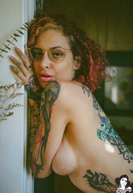 Vanp exclusive pornstar image