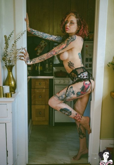 Vanp star perfect galleries
