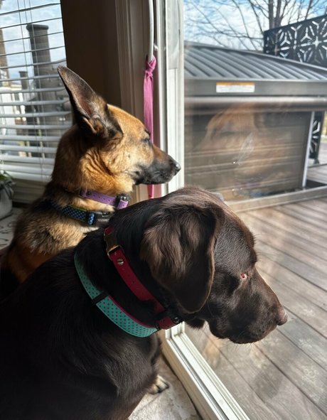 onlyneatbunny xxx star galleries