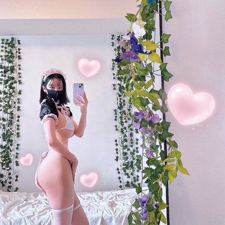 Harutan perfect model gallery