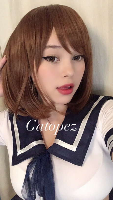 Gato Pez model high quality img