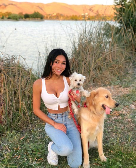 Joleen Diaz star pornographic galleries