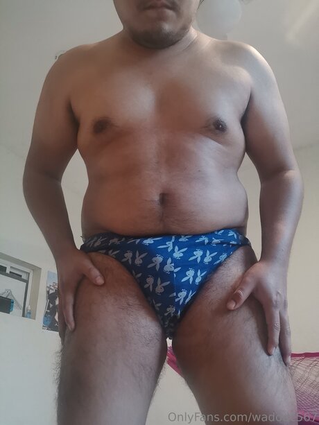 Wadodc567 model art image