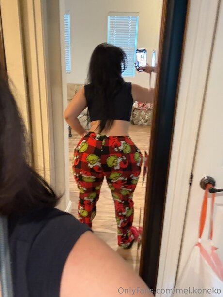 Mel Koneko erotic star photos