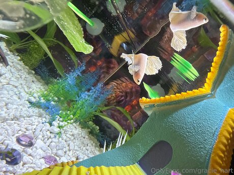 Gracie Hart perfect actress picture