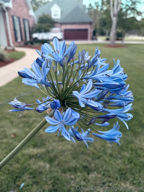 Gracie Hart best actress pictures