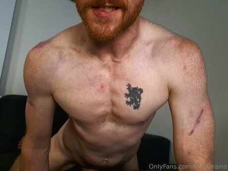 Bradbrains star archive