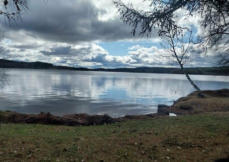 softchili hd star picture