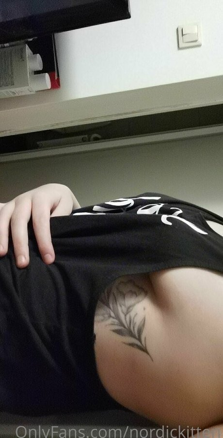 nordickitten exclusive star picture