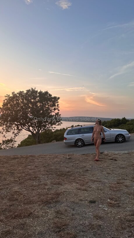 wild side of b star perfect galleries