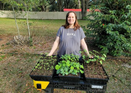 deealice hot actress img