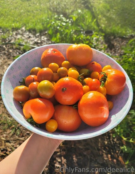 deealice model beautiful picture