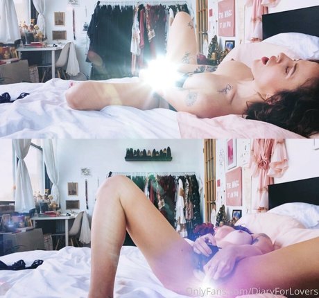 diaryforlovers art star photo