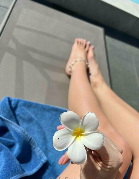 sweet polly star pornographic photos