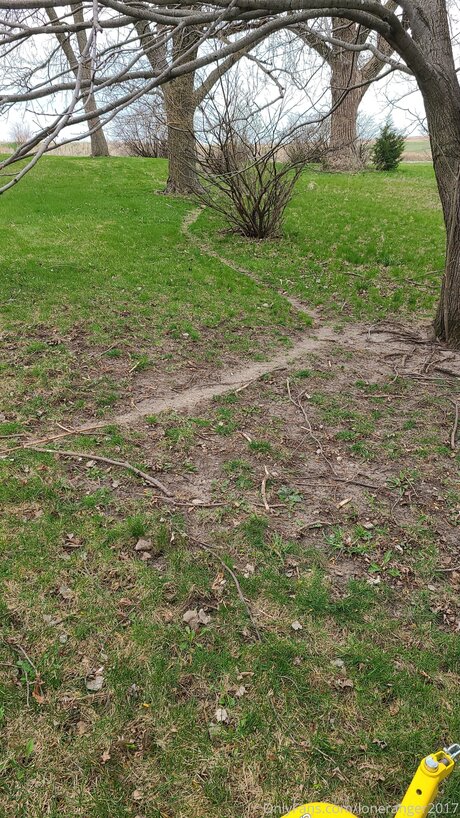 Loneranger2017 erotic star archive