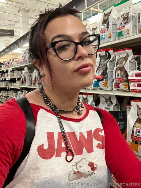 Jaymeecastles adult star image