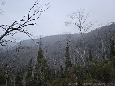 Poppybrightwater pornstar nude image