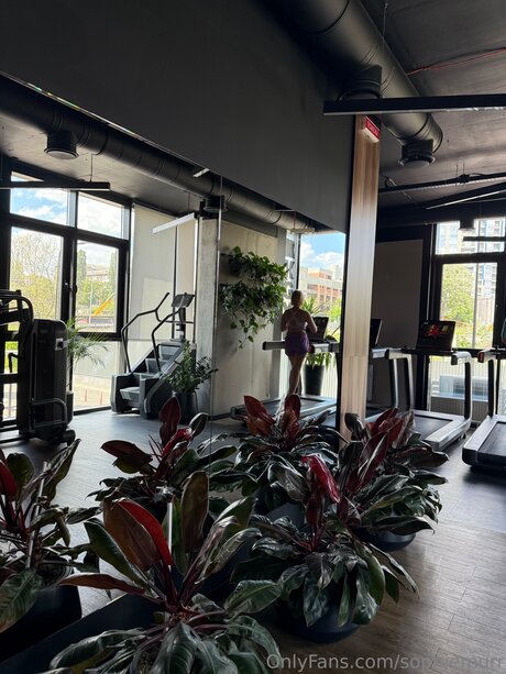 Sophiemurr pornstar nude image