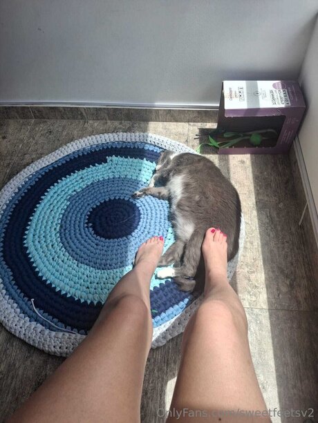 Sweetfeetsv2 sexy actress pictures