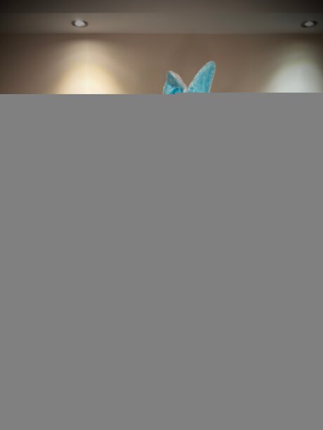 Thenamelessghuleh pornstar sexy photos