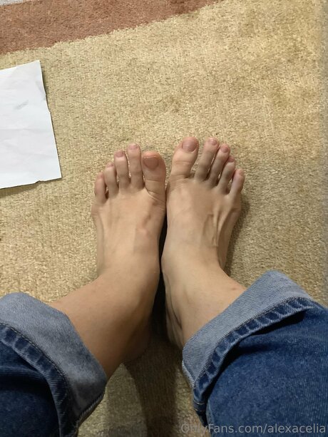 Alexacelia model img