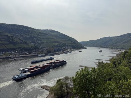 Travelsunshine sexy star images