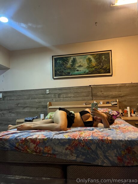 Mesaraxo model art picture