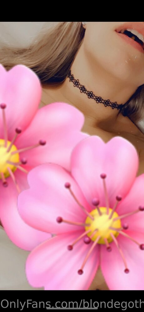 spy onlyfans beautiful pictures