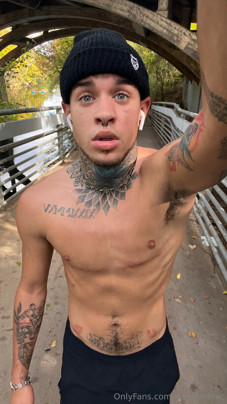 Ftmonlytrans model galleries