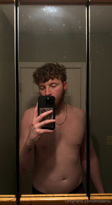 Brodenv star beautiful galleries