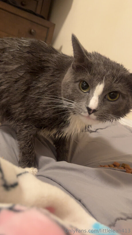 Littleleah413 star free pics