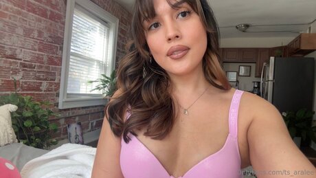 Ts Aralee xxx pornstar archive