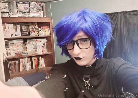 Egobox model perfect picture