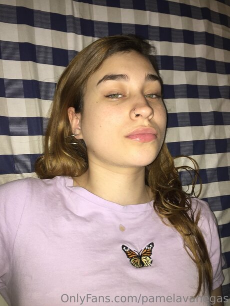 Pamelavanegas art pornstar galleries