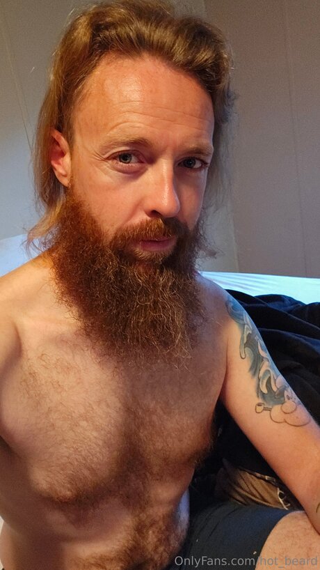 Hot Beard pornographic star img