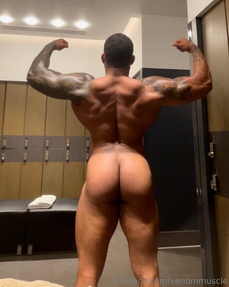 Gymzaddyvenom pornstar art photos