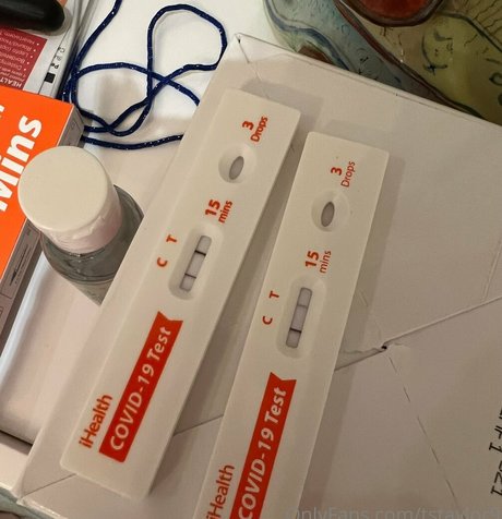 tstaylor9 best model archive