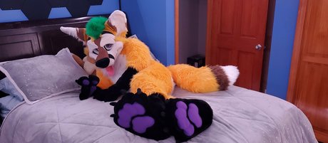thepineapplefox star nice archive