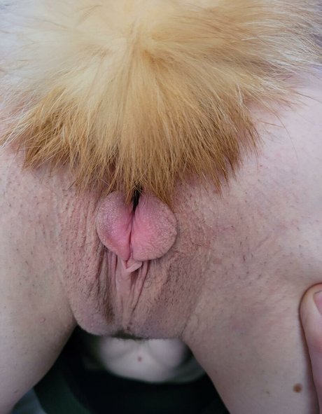 KyoshiPanties star beautiful picture