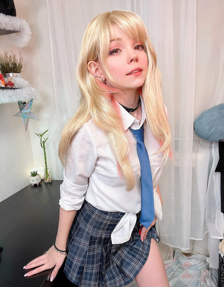 Caticornplay best model img