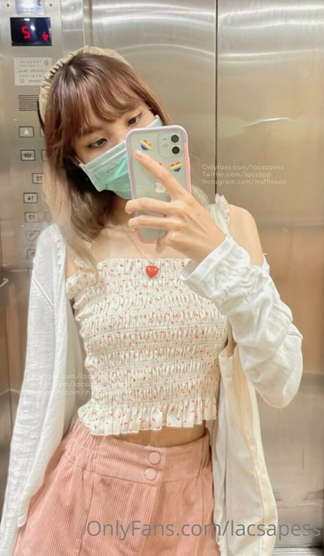 bibbob pornstar free archive