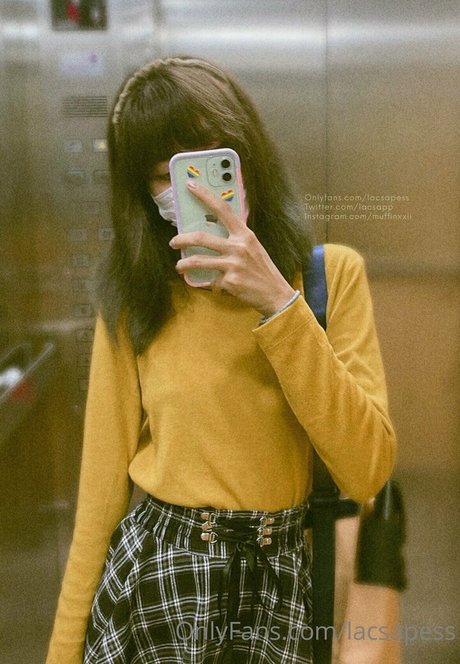 bibbob nice star archive