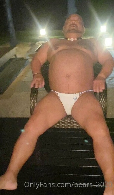 bears 2020 porn star photos