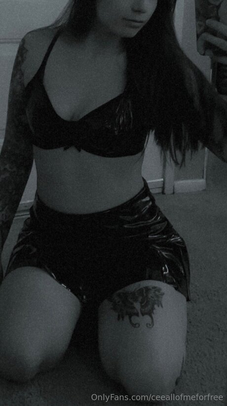 Ceeallofmeforfree pornstar art image